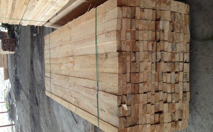 辐射松建筑木材加工